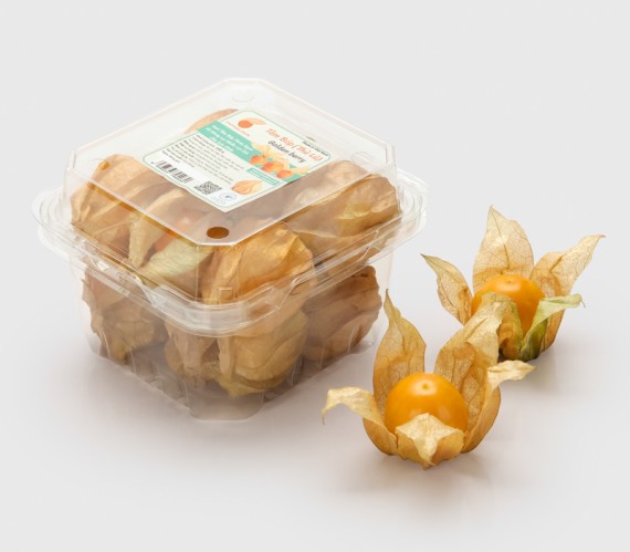 Trái Tầm Bóp tươi 1,2 kg (1 thùng 12 hộp 100g)